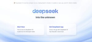 Deepseek User Interface