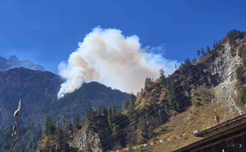 Timang forest in manang burns