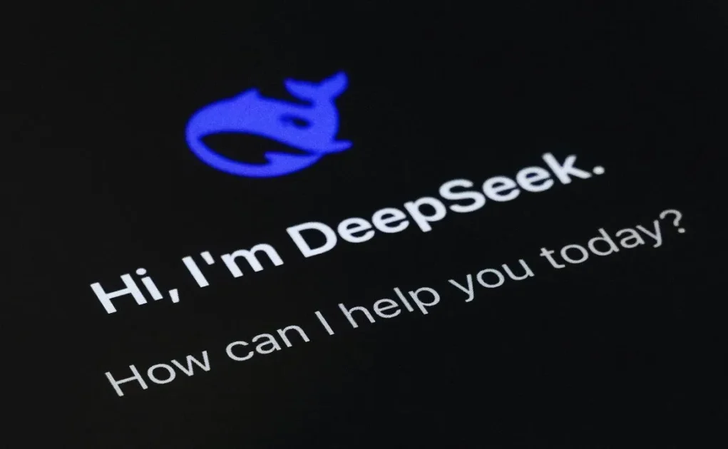 Deepseek LLMs