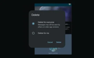delete for everyone in message