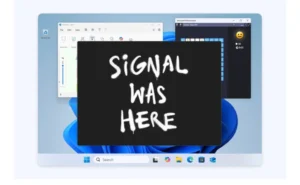 signal windows app