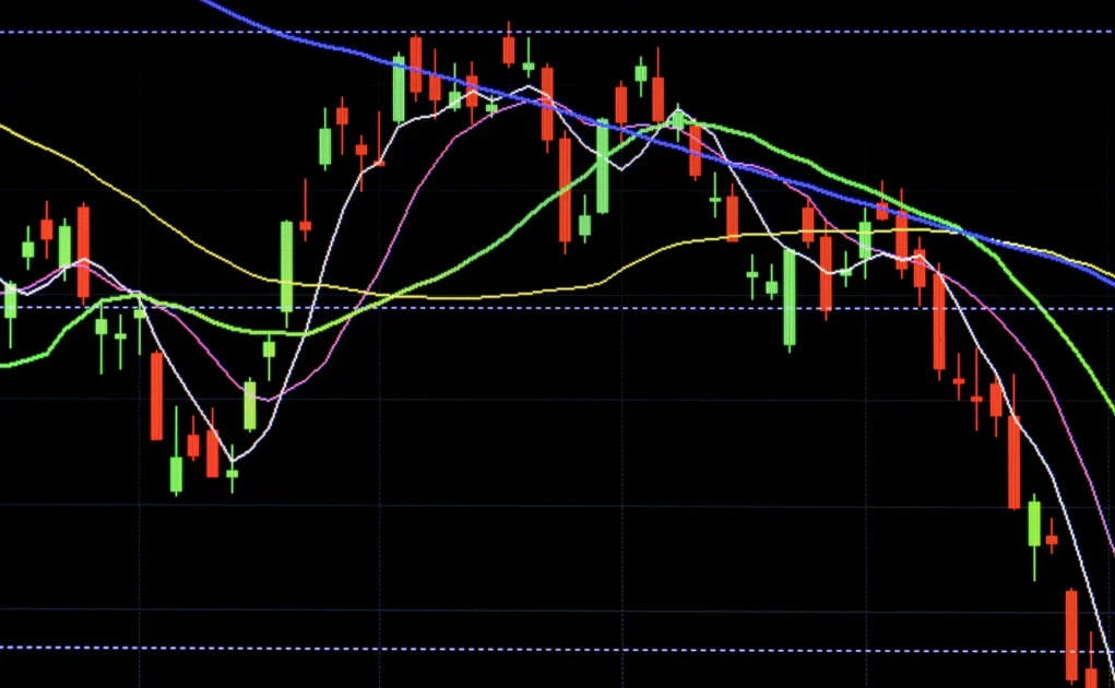 nepse