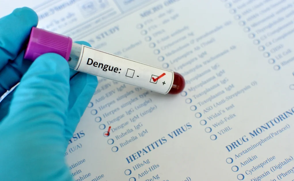 dengue