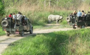 Jeep Safari in Chitwan National Park