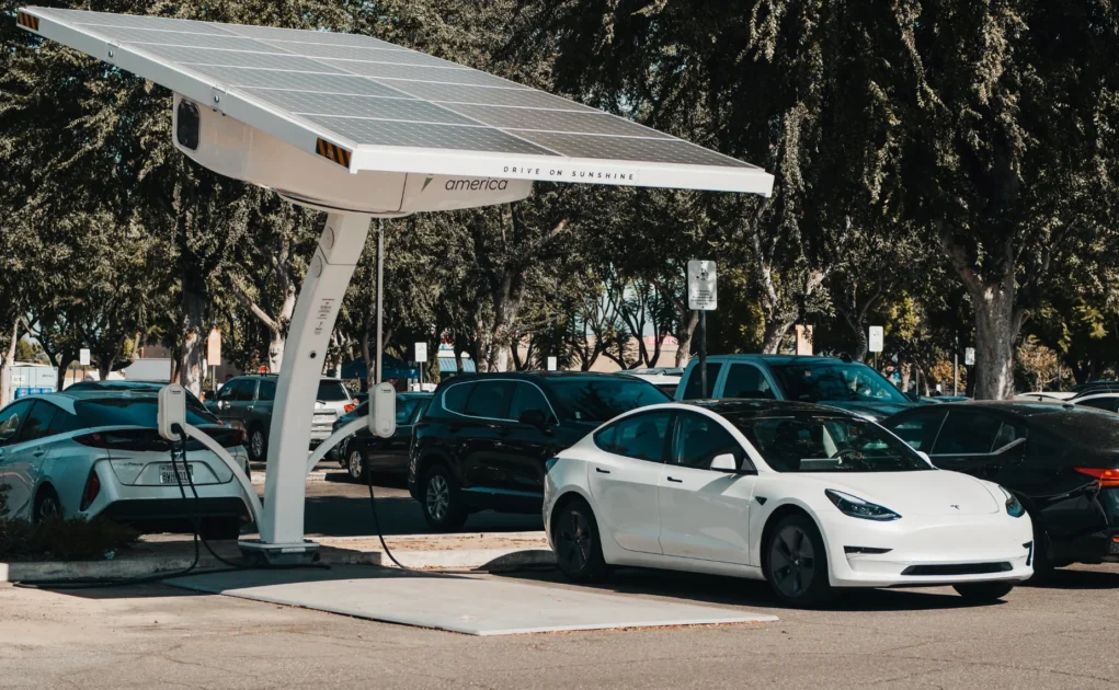 Tesla stock drops down
