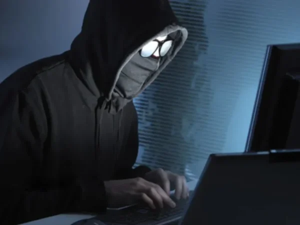 cybercrimes