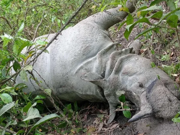 Chitwan National Park