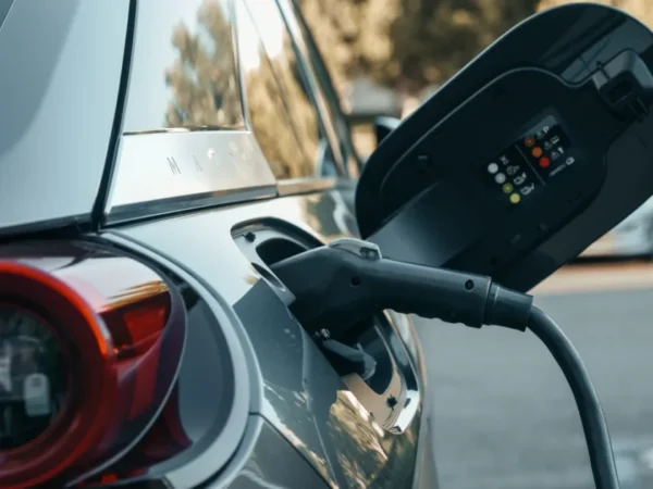 EVs imported in Nepal