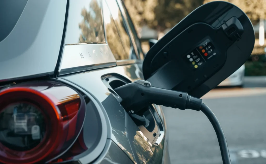 EVs imported in Nepal