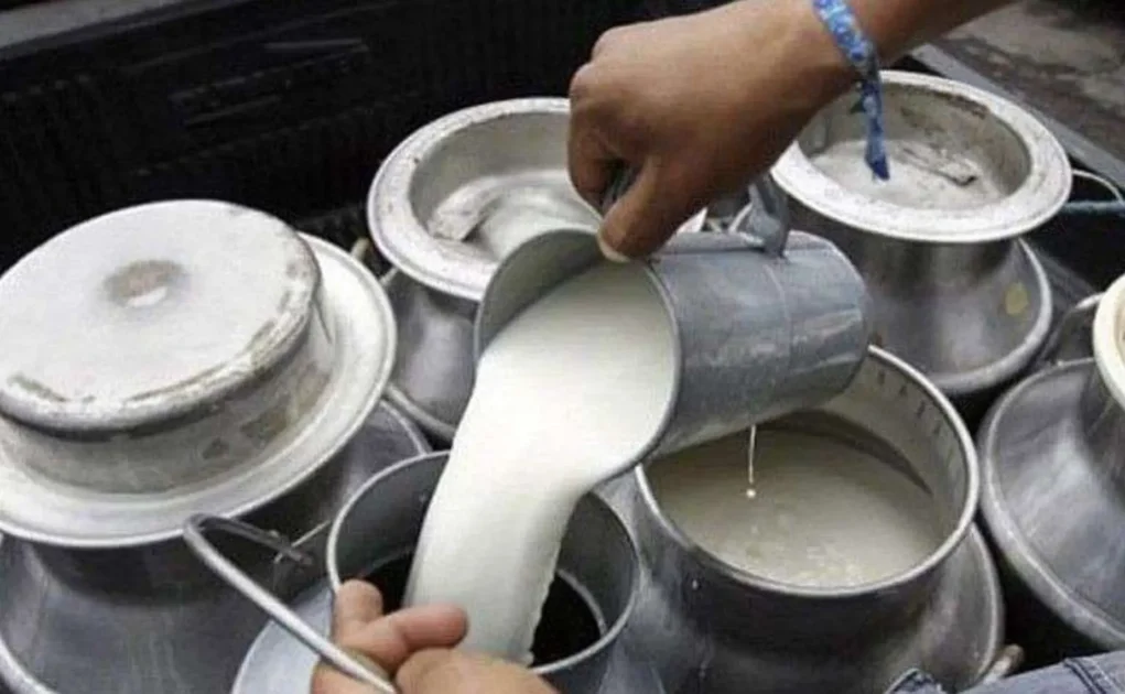 Major Milk Supplier to Kathmandu Valley