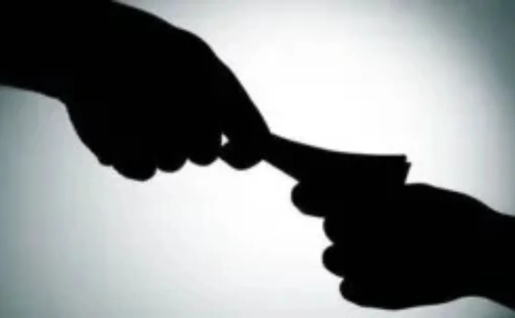 senior forest officer