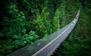 Suspension Bridge