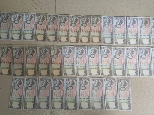 Fake Money
