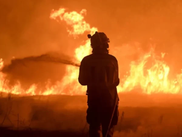 Heatwave Fueled Wildfires