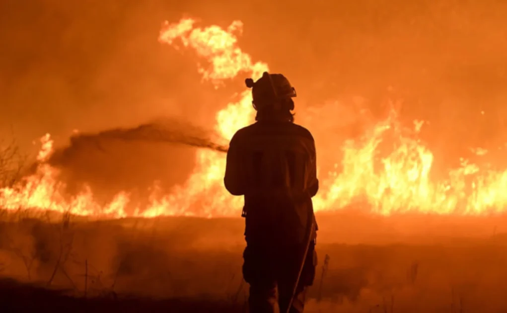 Heatwave Fueled Wildfires