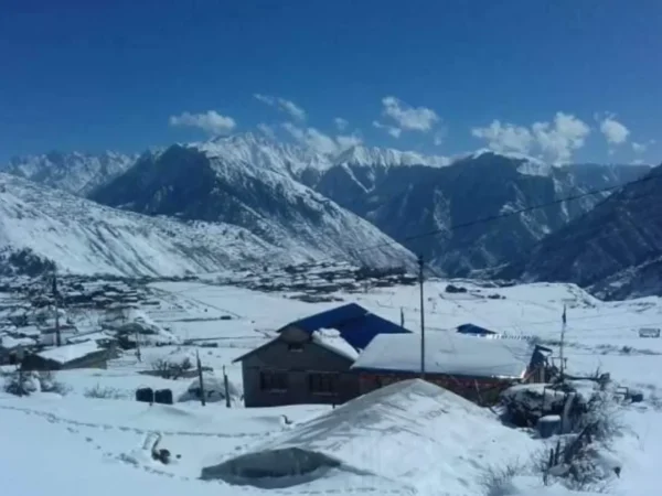 First Snowfall Hits Mustang