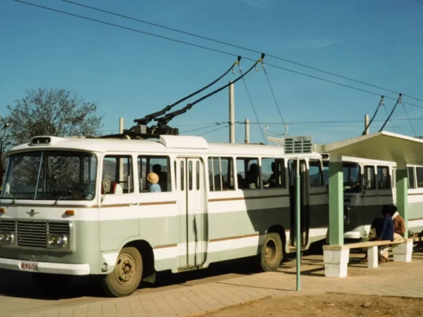 Return of Trolley Buses
