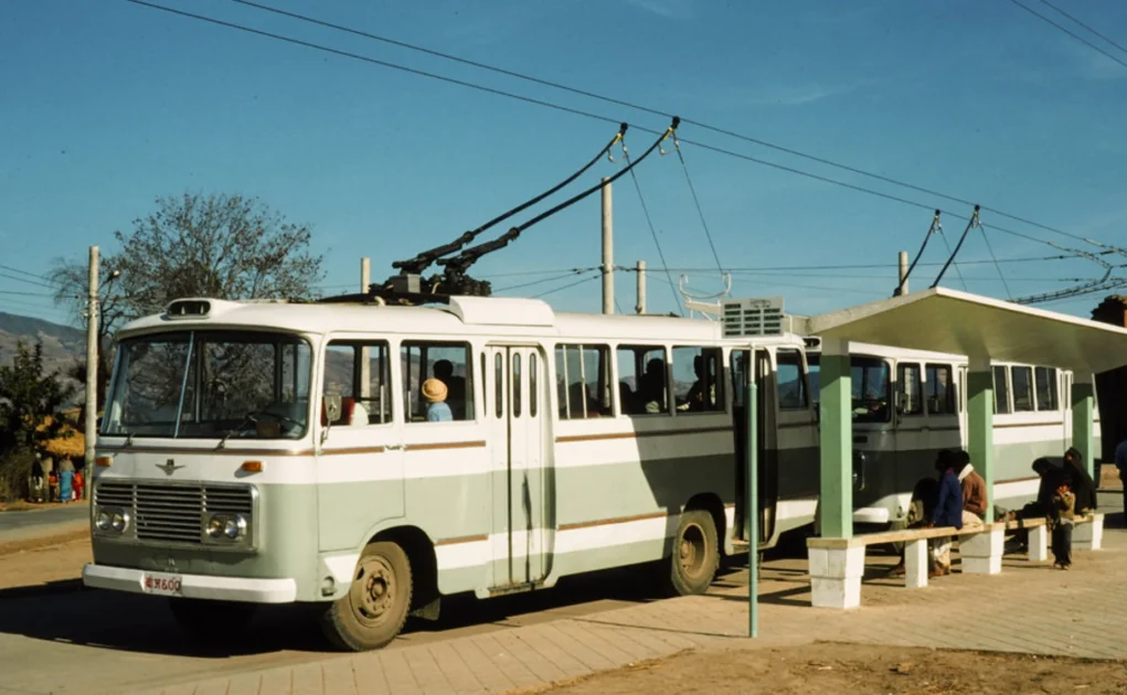 Return of Trolley Buses