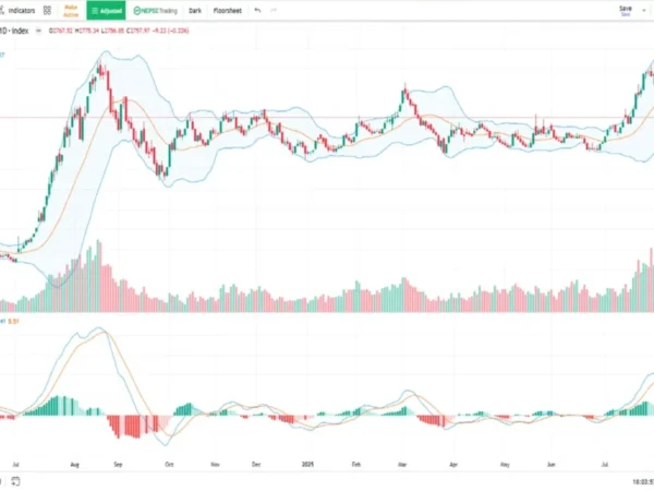 CGT collection drops by more than 50%