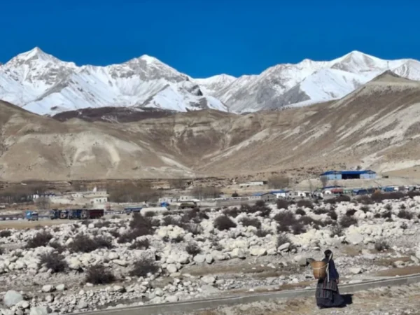 EV Inflow Continues at Icy Korala